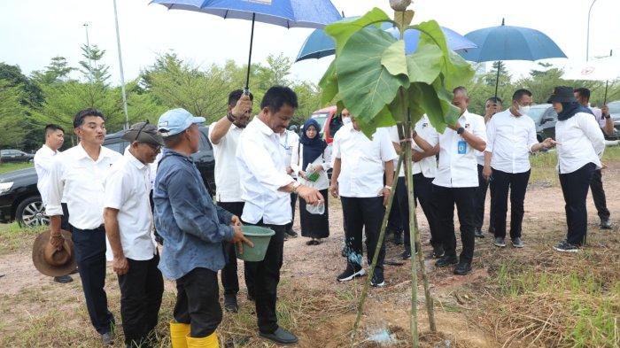 Kepala BP Batam Tinjau Pertumbuhan Pohon Kayu Jati Emas