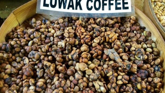 Dahysat Harganya! Inilah 5 Makanan Termahal di Dunia, 2 Dari Indonesia!