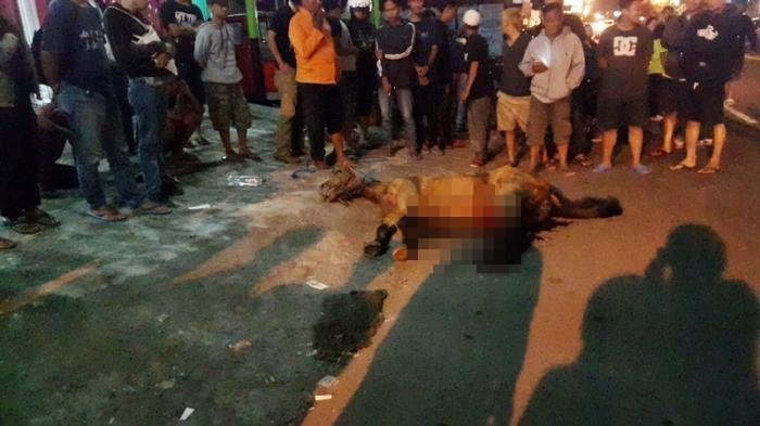 Trenyuh! Pak Sadiyo Mengelus Kepalanya Tanda Perpisahan, Kisah Kuda Andong Tewas Ini Menguras Emosi