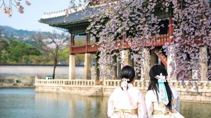 Panduan Lengkap ke Korea Selatan, Mulai dari Pengurusan Visa Hingga Harga Hotel