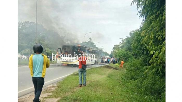 BREAKINGNEWS: Api Berkobar Membakar Bus Pariwisata di Jalan Raya Depan Sukajadi Batam