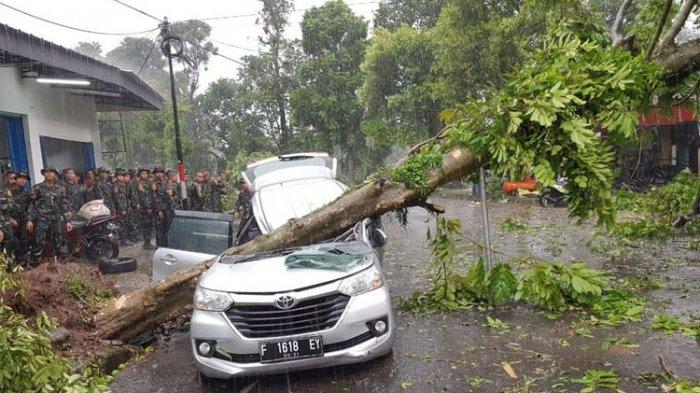 Jemput Anak Pulang Sekolah, Ibu Ini Tewas Saat Mobilnya Tertimpa Pohon Tumbang Karena Puting Beliung