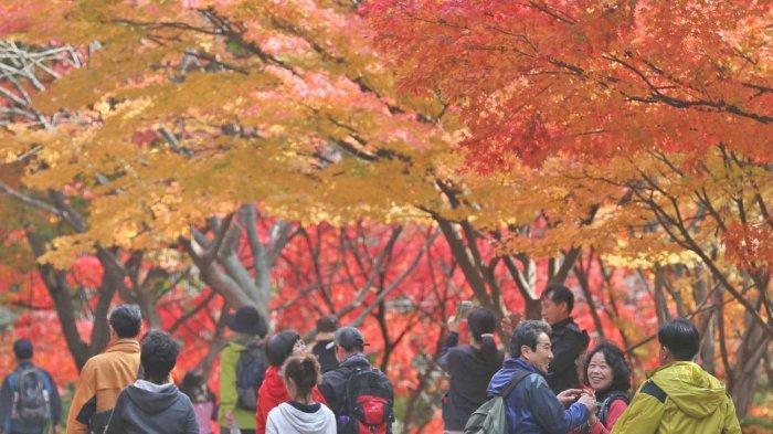 Panduan untuk Mengurus Visa ke Korea Selatan Dengan Cepat dan Mudah Tahun 2019