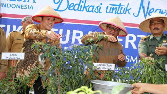 Dalmasri Tak Ingin Warga Bintan Kepedasan Lagi oleh Harga Cabe