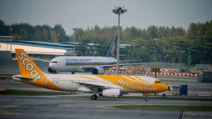 Scoot Akan Buka Lagi Penerbangan Surabaya-Singapura Mulai 17 Juli 2020, Beroperasi Sekali Seminggu