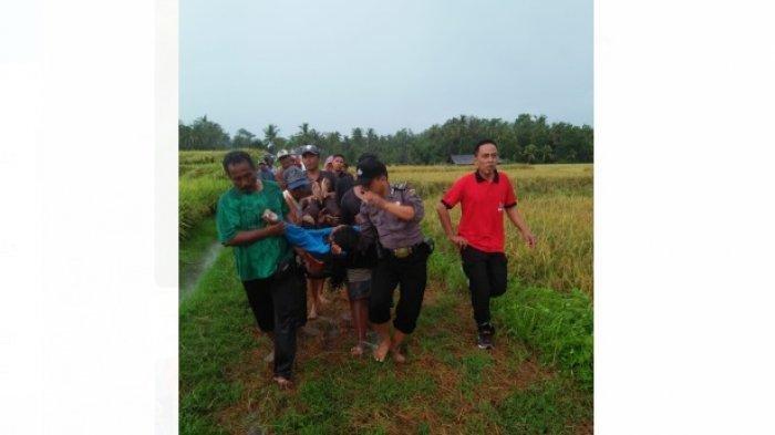 10 Petani Disambar Petir Saat Hendak Pergi Memanen Padi di Sawah, 2 Orang Tewas
