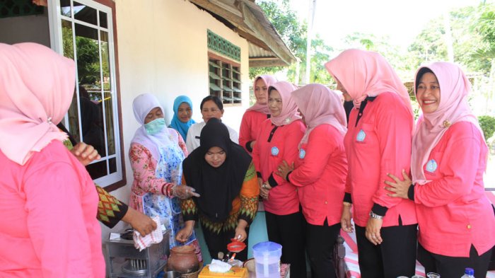 Hebat! Desa Selat Mendaun Masuk 4 Besar Nasional, Istri Bupati Karimun Puji Ibu PKK!