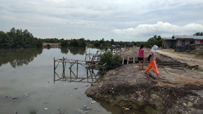 Wakil Walikota Batam Kaget Ada Buaya di Sungai Sagulung, 'Awasi Aktivitas Anak-Anak'