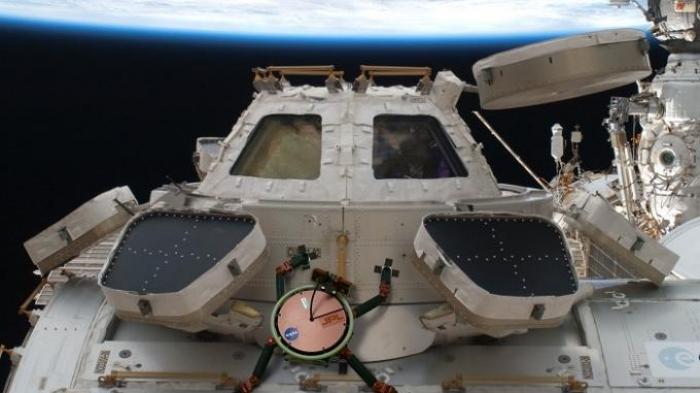 Ini Inovasi Terbaru NASA, Robot 'Tokek'