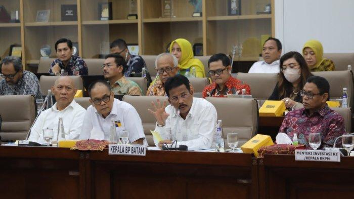 Update Progress Investasi di Rempang, Kepala BP Batam Hadiri RDP Komisi VI DPR RI