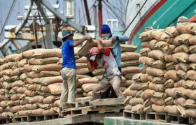 Terdampak Pandemi, Utilisasi Industri Semen di Semester I Hanya 56 Persen