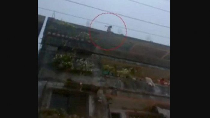 Kabur dari Upaya Pelecehan Seksual Pria Tak Dikenal, Gadis 12 Tahun Ini Lompat dari Atap Gedung