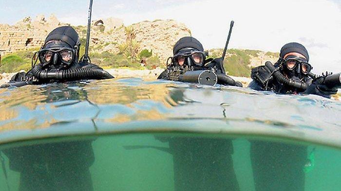Shayetet 13, Pasukan Paling Rahasia Milik Israel, Ahli Gerilya dan Perang Komando Bawah Air