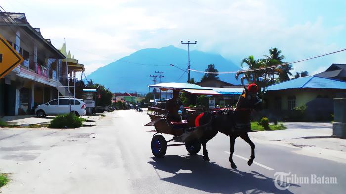 Tidak Ada Sinyal, Dishub Gratiskan Biaya Retribusi Pembangunan Tower