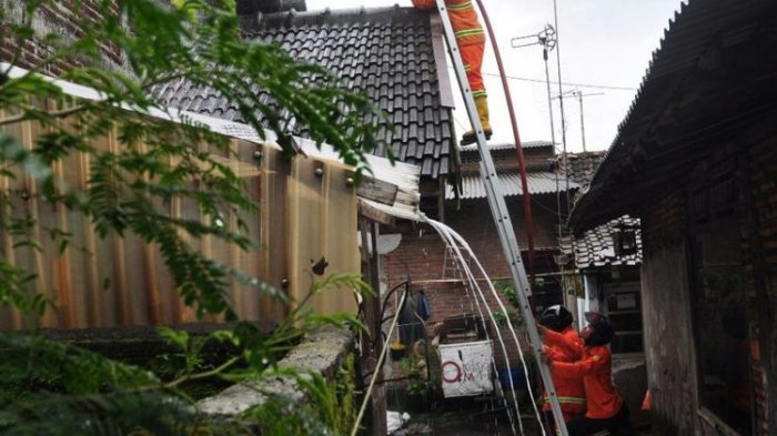 Unik! Cara Usir Tawon Tim SAR Cukup Pakai Air Sabun. Begini Caranya!