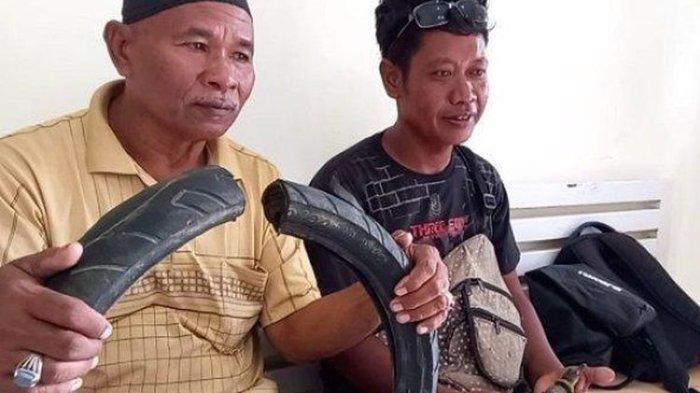 Mas Tili Makin Ngetop, Walikota Berencana Museumkan Ban yang Membelit Buaya 4 Meter