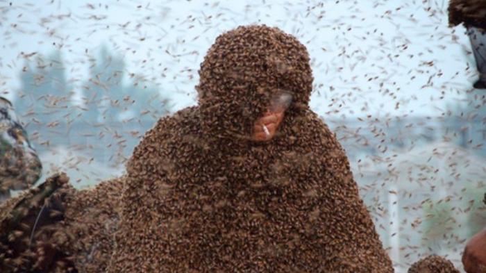 Nyaris Putus Asa, Terpaksa Kerahkan Damkar Usir Tawon, Perlu Empat Jam Memindahkan Sarang