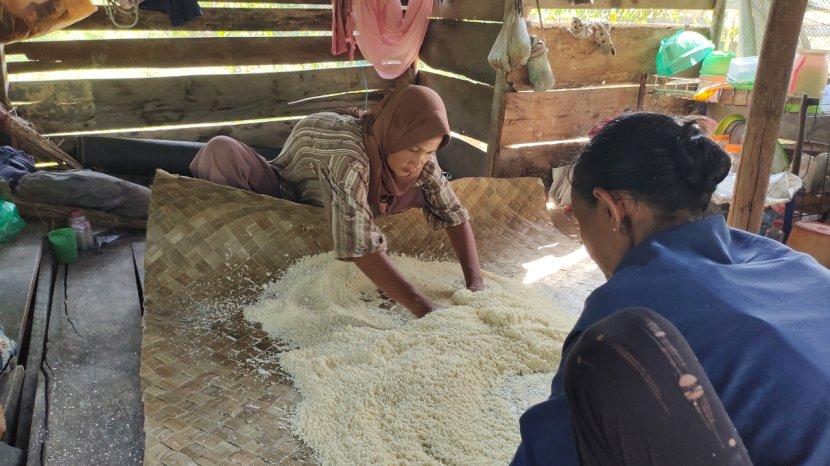 Menilik Usaha Tradisional Warga Resang Lingga Bikin Sagu Ubi yang Sudah Turun Temurun