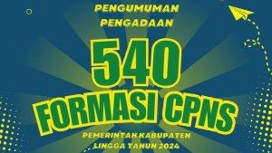 CPNS-2024-Pemkab-Lingga.jpg