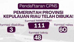 CPNS-2024-Pemprov-Kepri.jpg