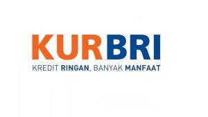 KUR-BRI-2024.jpg