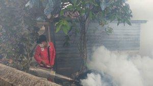 Kasus-demam-berdarah-di-Lingga-Kepri-skn.jpg