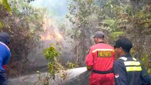 Kebakaran-lahan-di-Desa-Lanjut-Lingga-Kepri.jpg