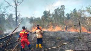 Kebakaran-lahan-di-Pertanian-Singkep-Lingga-Kepri.jpg