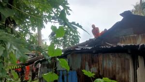 POHON-TUMBANG-JADI-PERINGATAN.jpg