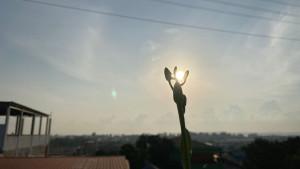 Potret-langit-Batam-Sabtu-197-pagi-mentari-pagi-cerah-terik.jpg