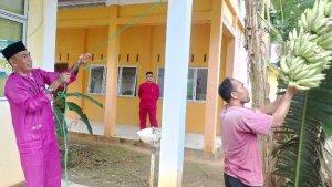 SD-002-Rewak-Anambas-Berdayakan-Lahan-Buat-Tanaman-Pangan-Raup-Cuan-dari-Pisang.jpg