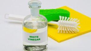 cuka-memiliki-manfaat-untuk-membersihkan-berbagai-peralatan-rumah-tangga.jpg