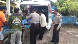 korban-tewas-tertimpa-pohon_20181007_191322.jpg