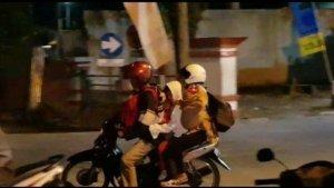 mudik-tarik-5.jpg