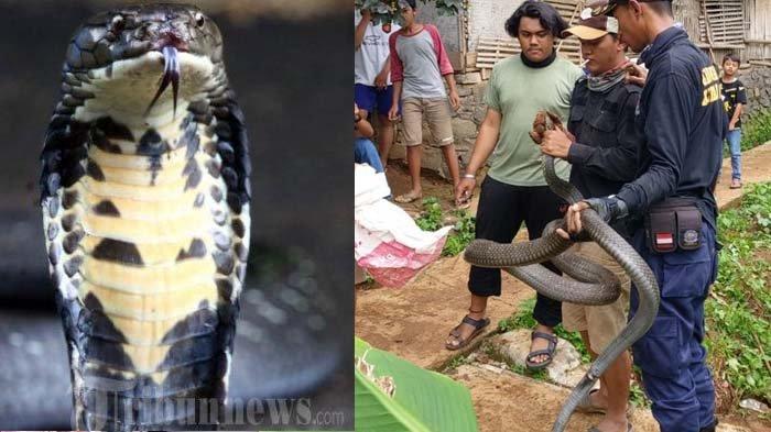 Ular yaltiroq lablari bolgan dikni sorishadi