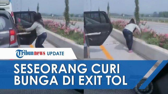 17-12-2019-viral-wanita-curi-bunga.jpg