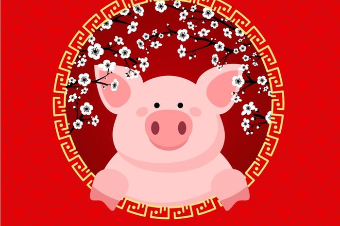 20012020_ilustrasi-shio-babi.jpg