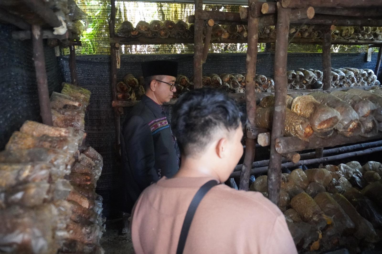 Budidaya-Jamur-di-Tanjungpinang-899.jpg