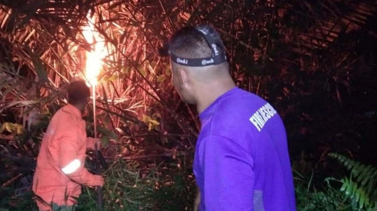 Bahayakan Warga, Damkar Lingga Evakuasi Dua Sarang Tawon Vespa Dalam Semalam