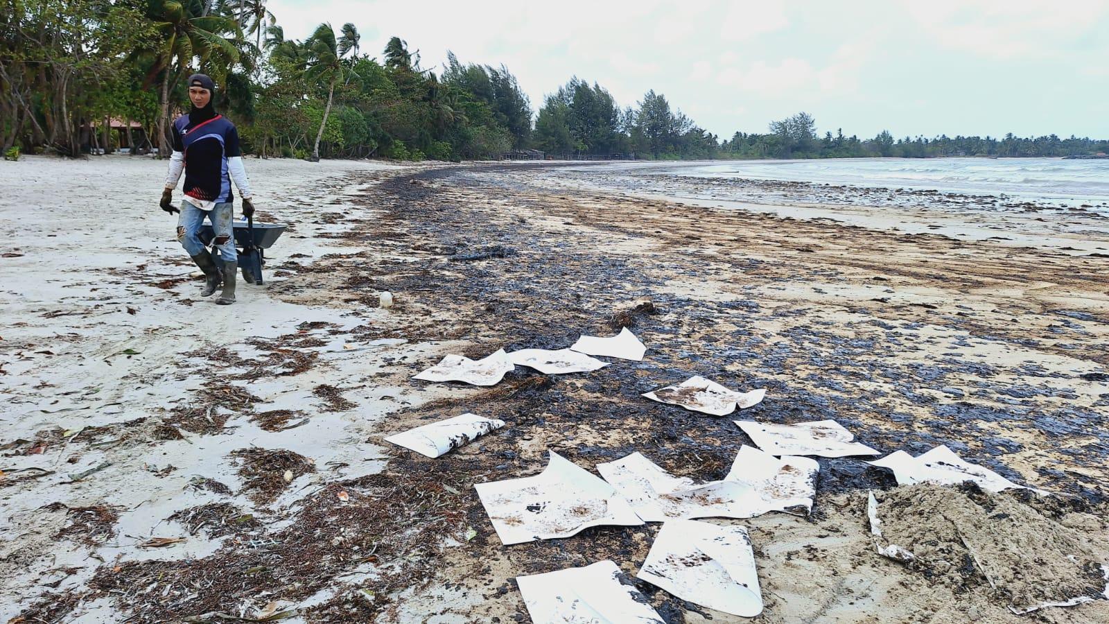 Limbah Minyak Hitam Kembali Cemari Pantai Trikora, Pelaku Usaha Pariwisata Merugi