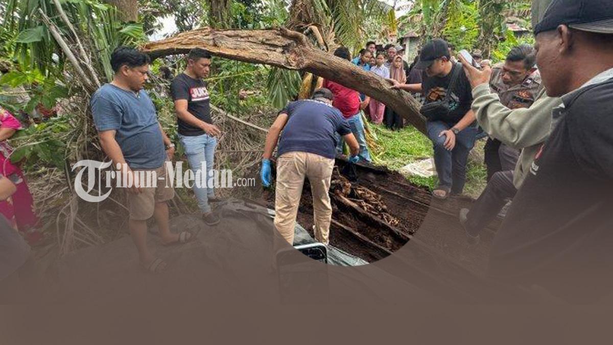 Penemuan-kerangka-manusia-dalam-pohon-aren-di-Serdangbedagai-Sumut.jpg