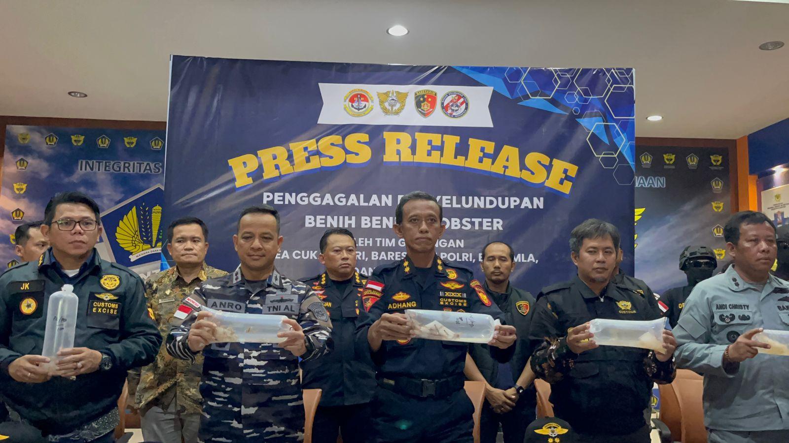 Penindakan-ribuan-benih-lobster-bening-yang-ditemukan-tanpa-tuan.jpg