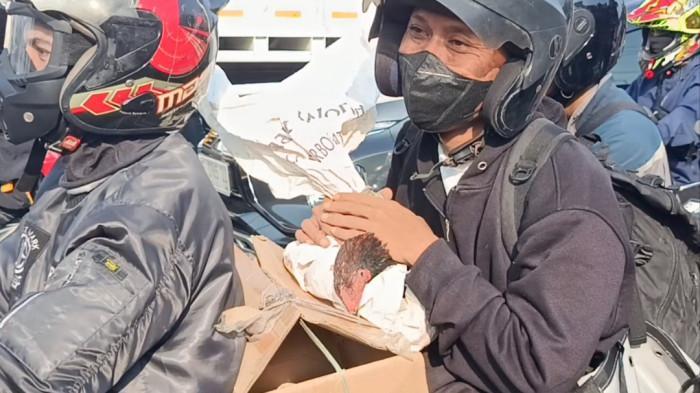 Kisah Unik Pemudik Lebaran 2026, Japra Bawa 8 Ayam Kesayangan Pulang Kampung Pakai Motor