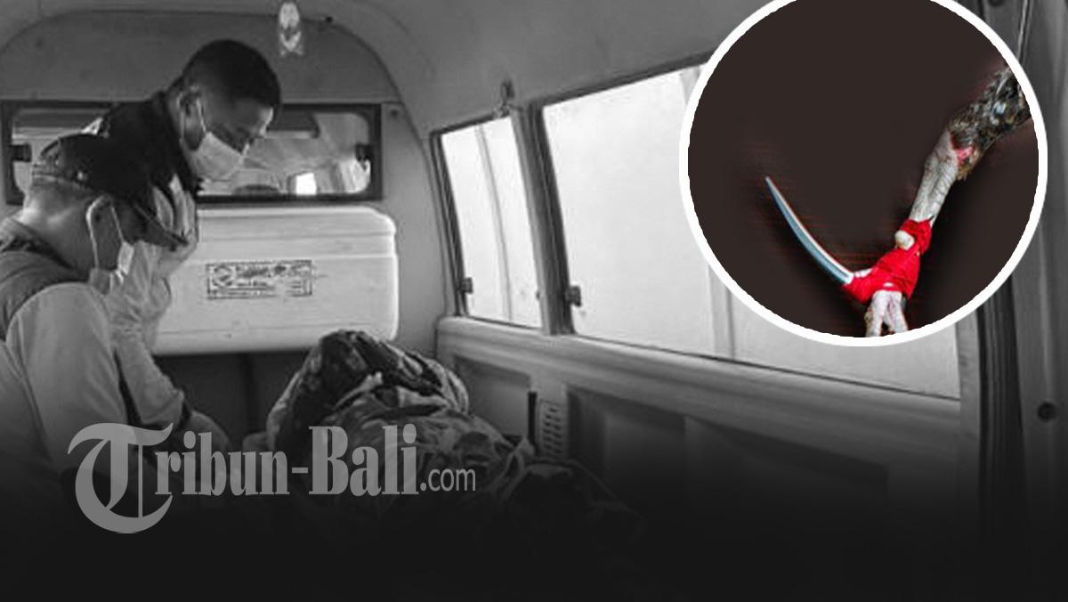 Seorang-pria-bernama-I-Nengah-Sudana-tewas-setelah-terluka-karena-taji-ayam.jpg