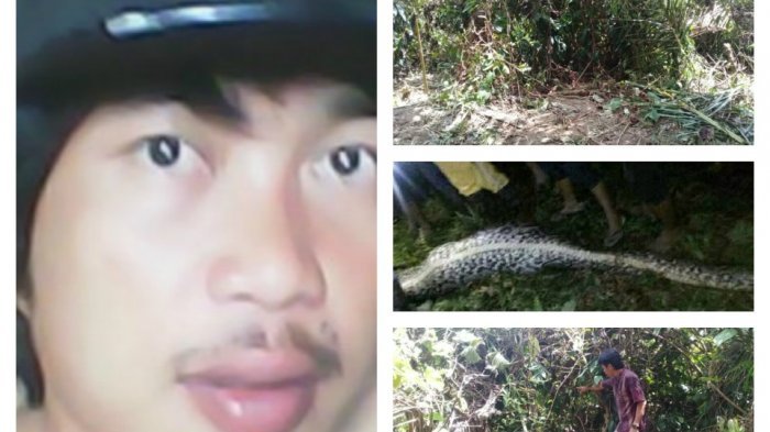akbar-korban-ular-piton_20170331_090115.jpg