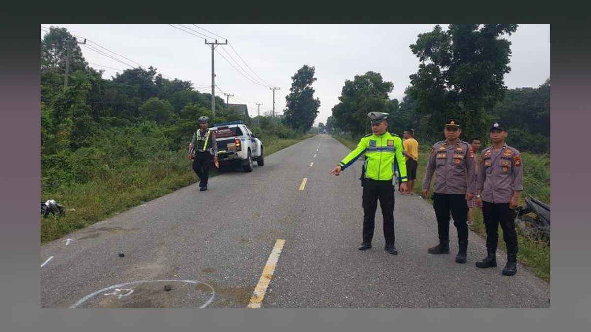 Tabrak Kerbau yang Berkeliaran di Jalan, Seorang PNS di Sumsel Tewas dalam Perjalanan ke Rumah Sakit