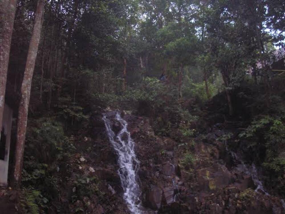 Kronologi 2 Remaja Karimun Minta Tolong Tak Tahu Jalan Saat Turun dari Gunung Jantan - Tribunbatam.id
