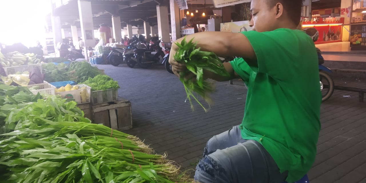 harga-sayur-bayam-di-pasar-botania-masih-tinggi.jpg