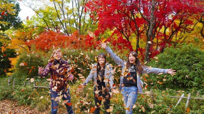 Mau Lihat Musim Gugur di Jepang, Ini 9 Tempat Favorit yang Bisa Dikunjungi di Sekitar Tokyo