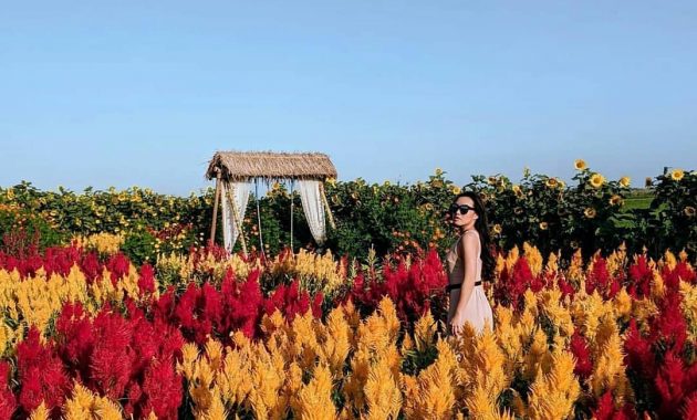 reisonangun-garden-bantul-yogyakarta-wisata-jogja.jpg